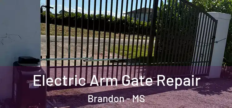  Electric Arm Gate Repair Brandon - MS