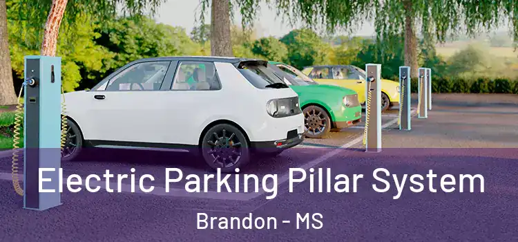 Electric Parking Pillar System Brandon - MS