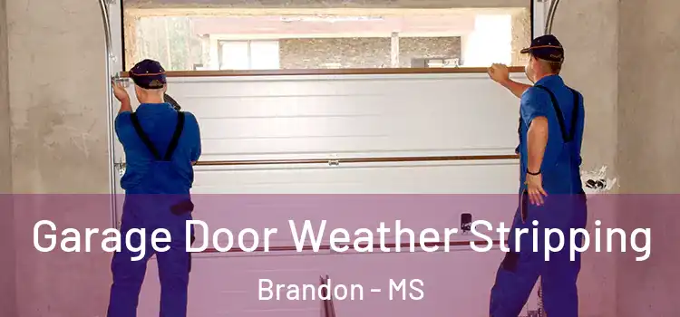  Garage Door Weather Stripping Brandon - MS