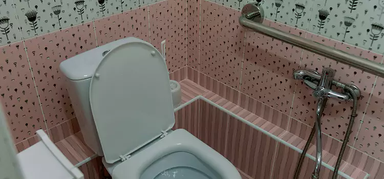 Meeting Diverse Needs With Accessible Restroom Solutions in Brandon, MS