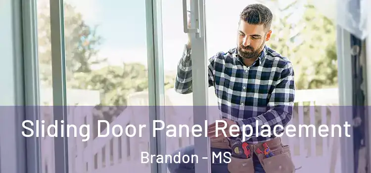  Sliding Door Panel Replacement Brandon - MS